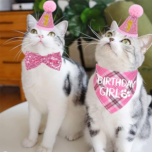 STMK Cat Birthday Party Supplies, Cat Birthday Hat with Birthday Number Cat Birthday Bandana Girl Bow Tie Collar Cat Birthday Outfits for Cat Kitten Birthday Decorations