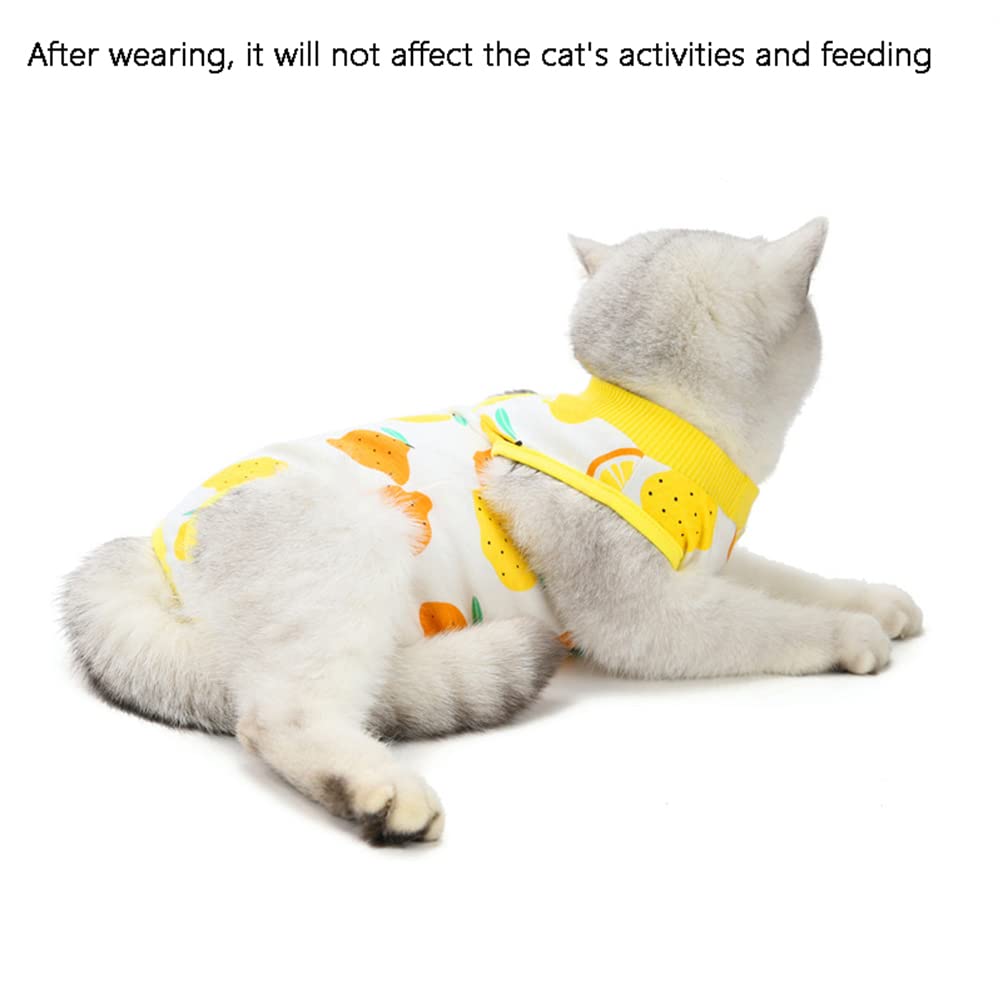 Arabest Recovery Suit, Professional Dog Cat Surgery Recovery Shirt, for Abdominal Wounds or Skin Diseases with Breathable E-Collar Alternative (Medium)