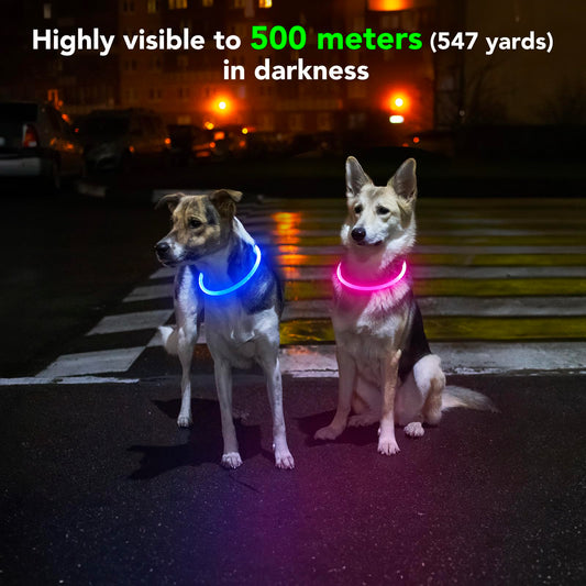 Domagiker Clan-x Led Dog Collar Rechargeable Waterproof - Comfort TPU Cuttable Light Up Dog Collars, Adjustable Glow in The Dark Dog Collars for Small Medium Large Dogs(Pink)