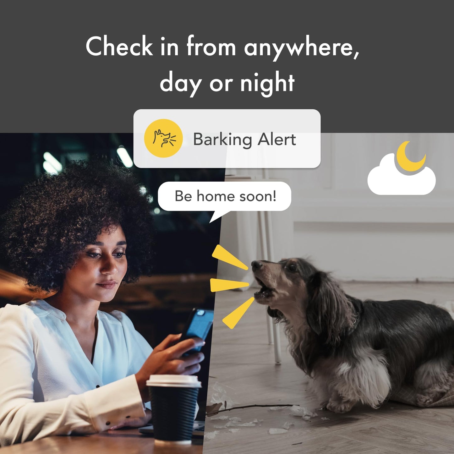 Furbo 360° Dog Camera: Home Security Camera with Barking Alerts, Rotating Pet Treat Camera with Phone App, Smart Home Indoor Puppy Cam with 2-Way Speaker and Night Vision (No Subscription Required)