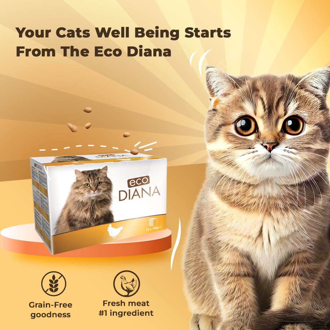 Plaisir Eco Diana Food For Cats, 12 Pouches Of 100G, Delicious Chunks With chicken In Gravy, Full Of Nutrition- Multicolour